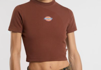 T-shirt mi-lourd Maple Valley - DICKIES