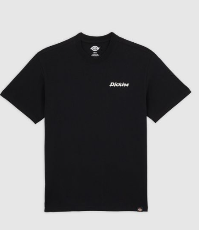T-shirt mi-lourd Statesville - DICKIES