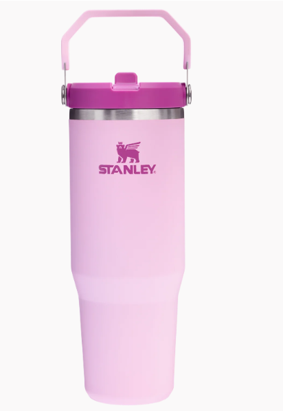 THE ICEFLOW FLIP STRAW 0.89 - STANLEY - Duckstore_narbonne