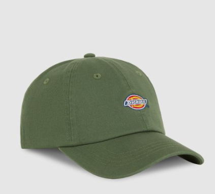 Casquette baseball Hardwick  - DICKIES