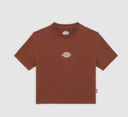 T-shirt mi-lourd Maple Valley - DICKIES