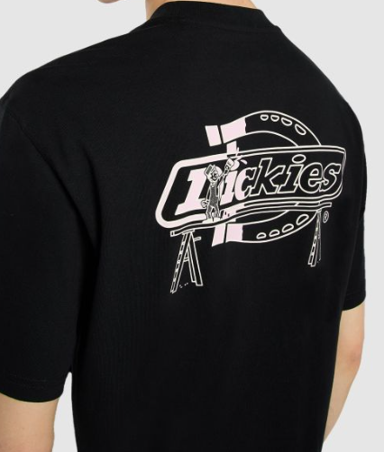 T-shirt mi-lourd Statesville - DICKIES