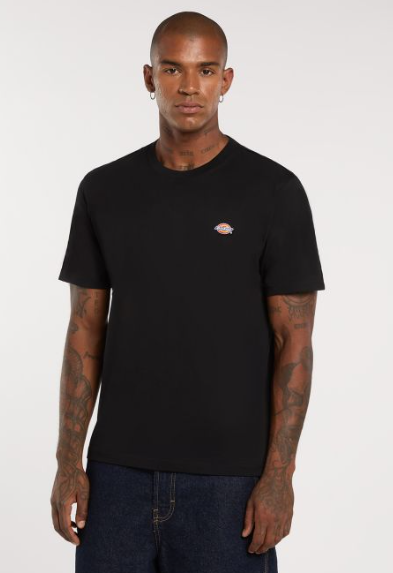 T-shirt léger Mapleton - DICKIES