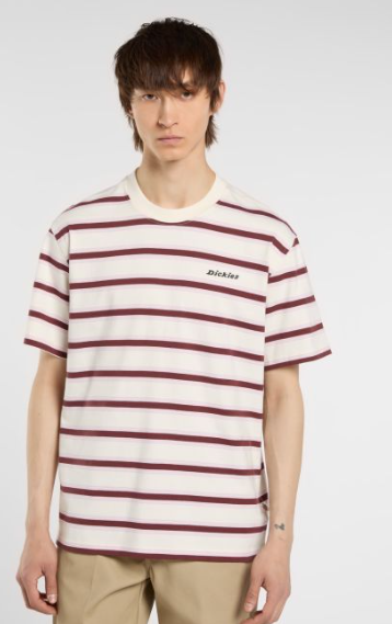 T-shirt mi-lourd à rayures York - DICKIES