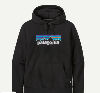 P-6 Logo Uprisal Hoody - PATAGONIA